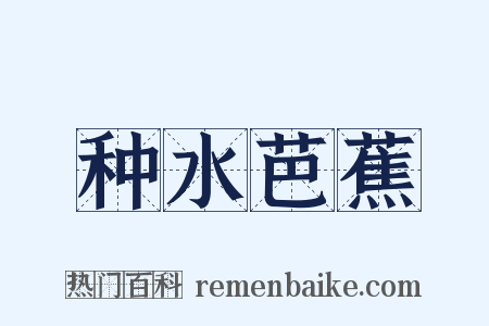 种水芭蕉是什么意思的图片